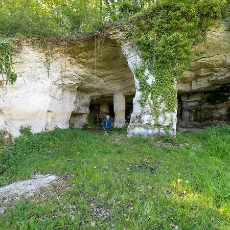 Villa Logis de Bois Roche  à Saint-Bonnet-sur-Gironde Extérieur photo