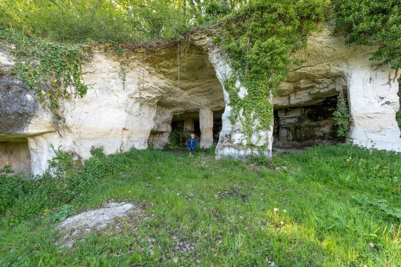 Villa Logis de Bois Roche  à Saint-Bonnet-sur-Gironde Extérieur photo