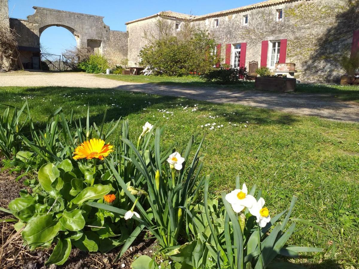 Villa Logis de Bois Roche  à Saint-Bonnet-sur-Gironde Extérieur photo