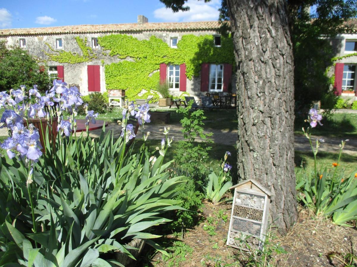 Villa Logis de Bois Roche  à Saint-Bonnet-sur-Gironde Extérieur photo